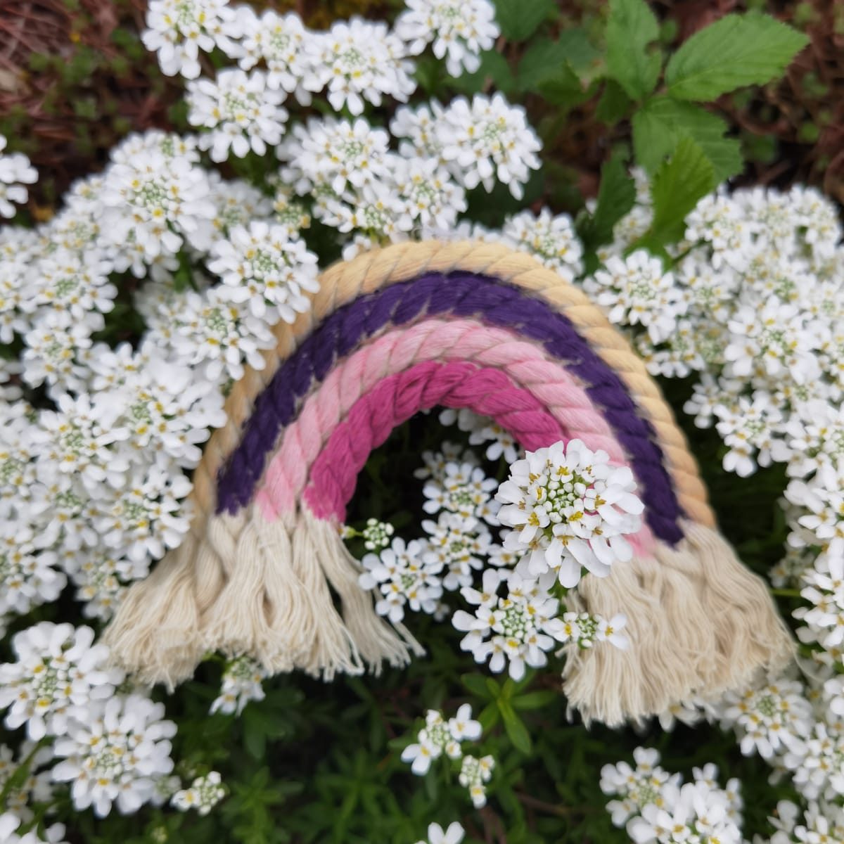 Regenbogen